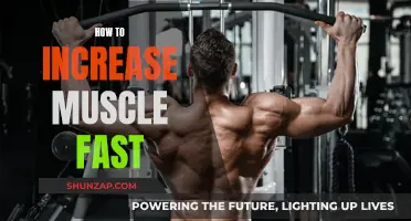 Building Muscle Fast: Effective Strategies for Quick Results