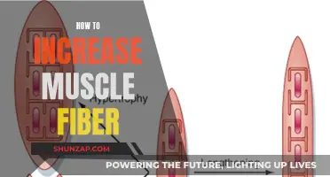 Building Muscle: Maximizing Muscle Fiber Growth and Potential