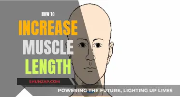 Stretching for Muscle Length: Techniques for Effective Gains