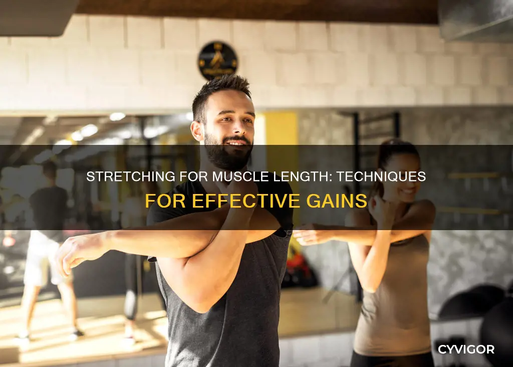 how to increase muscle length