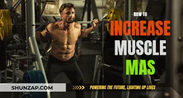 Building Muscle Mass: Strategies for Effective Strength Training