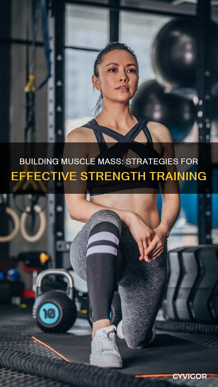 how to increase muscle mas