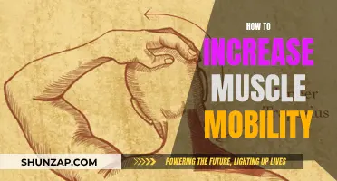 Increase Muscle Mobility: Simple Tips for Greater Flexibility