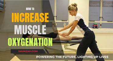 Increase Muscle Oxygenation: Strategies for Maximizing Workout Performance