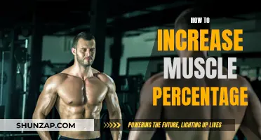 Building Muscle: Strategies to Boost Your Muscle Percentage