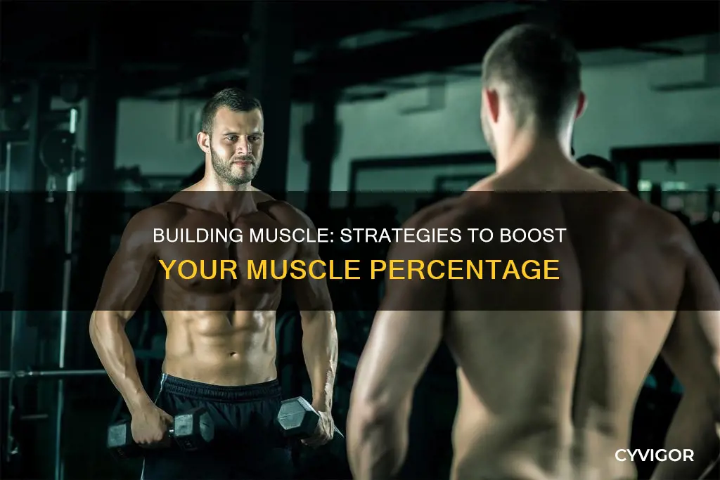 how to increase muscle percentage