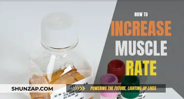 Building Muscle: Strategies for Enhancing Growth and Strength