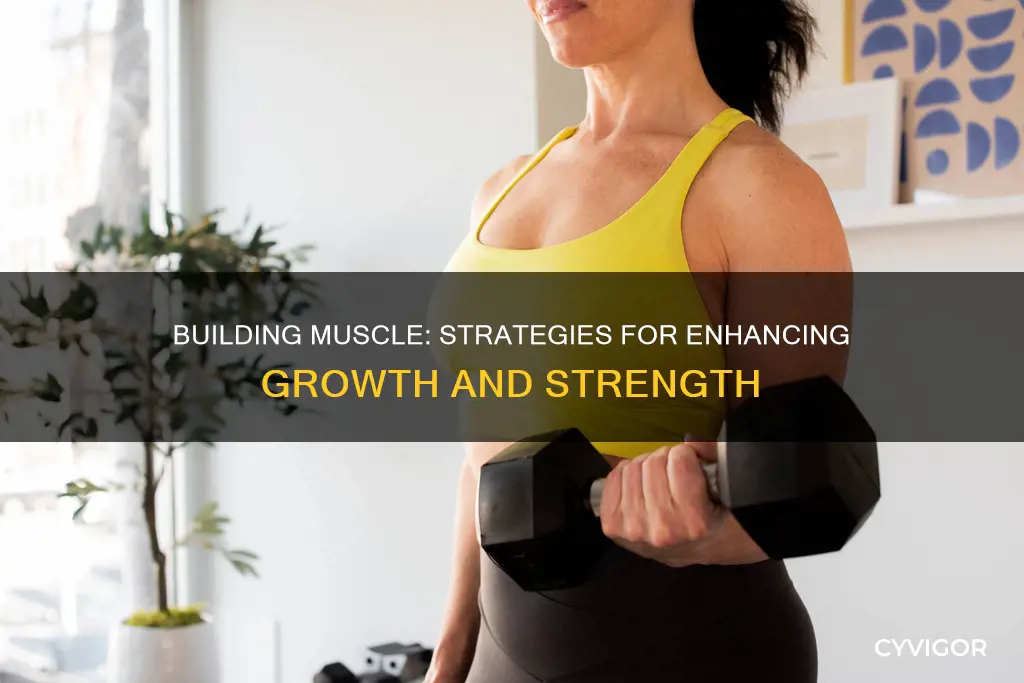 how to increase muscle rate