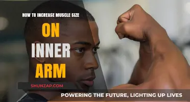 Effective Inner Arm Muscle Growth: Tips for Bigger, Stronger Arms
