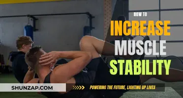 Improving Muscle Stability: Strategies for Strength and Endurance