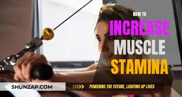 Building Muscle Stamina: Strategies for Success