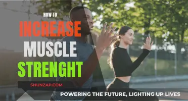 Building Muscle Strength: Effective Strategies for Success