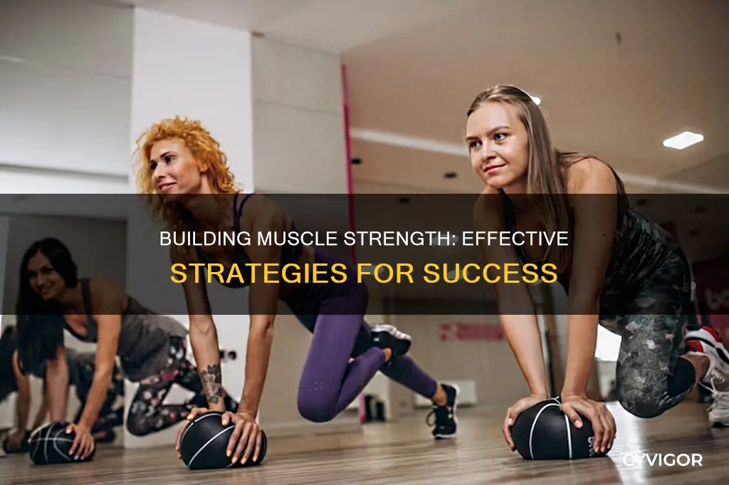 how to increase muscle strenght