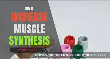 Maximizing Muscle Synthesis: Strategies to Enhance Your Body's Potential