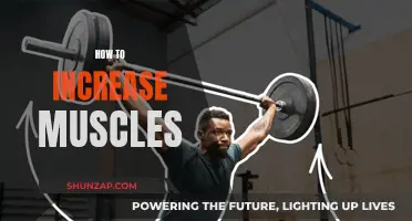 Building Muscle: Strategies for Effective Muscle Growth