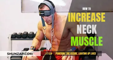 Building Neck Muscles: Effective Strategies for Strength and Growth