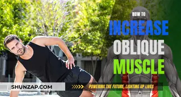 Building Powerful Oblique Muscles: Secrets to Success