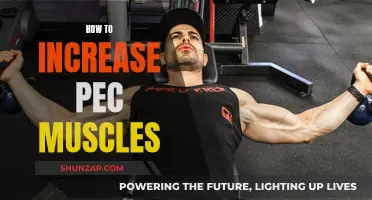 Building Bigger Pecs: Strategies for Maximum Muscle Growth