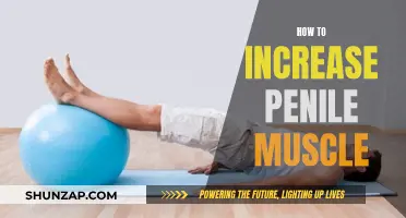 Increasing Penile Muscle: The Ultimate Guide for Men's Health