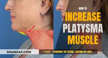 Increase Your Platysma Muscle: Simple and Effective Strategies