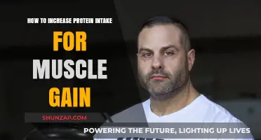 Boost Muscle Growth: Effective Strategies to Increase Protein Intake