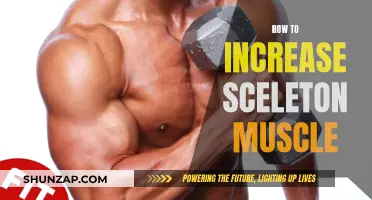 Building Strong Bones: Increasing Your Skeleton Muscle Mass
