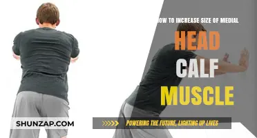 Effective Exercises to Enlarge Your Medial Head Calf Muscle