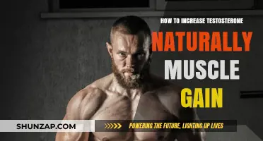 Boost Testosterone Naturally: Proven Strategies for Muscle Gain and Strength