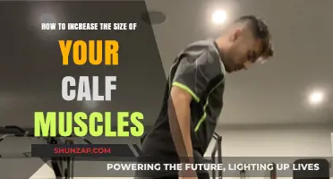 Effective Strategies to Grow Your Calf Muscles Quickly
