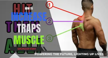 Building Powerful Trap Muscles: Secrets to Success