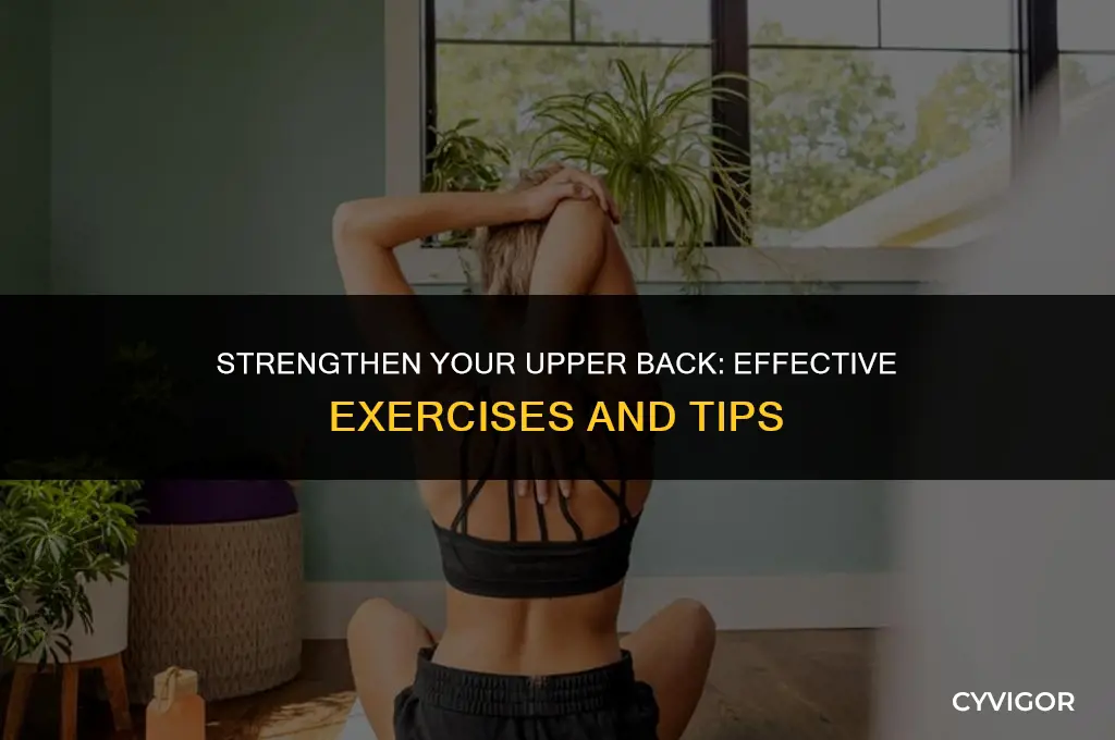 how to increase upper back muscle