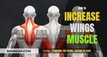 Building Wing Muscles: Effective Strategies for Growth and Strength