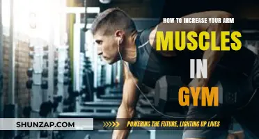 Effective Gym Strategies to Build Bigger, Stronger Arm Muscles Fast