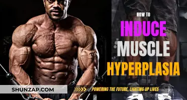 Trigger Muscle Hyperplasia: Strategies for Maximizing Muscle Growth
