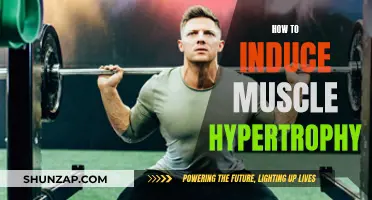Triggering Muscle Hypertrophy: Strategies for Maximizing Growth