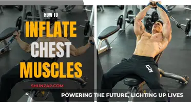 Building Chest Muscles: Inflating Your Upper Body