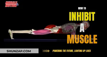 Inhibiting Muscle Movement: Techniques for Targeted Relaxation