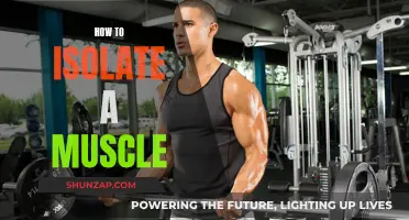 Isolating Muscles: Targeted Exercises for Better Results