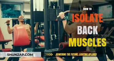 Effective Techniques to Isolate and Strengthen Your Back Muscles