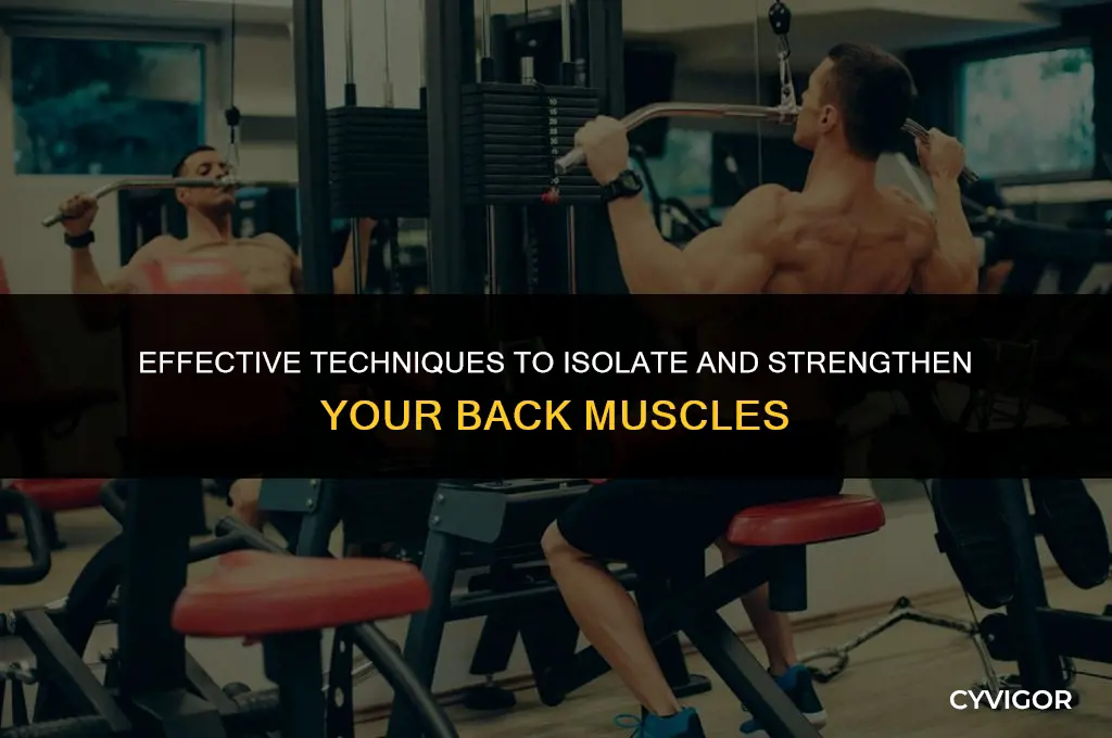 how to isolate back muscles