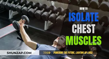 Isolating the Chest: Targeted Muscle Workouts for Defined Pecs