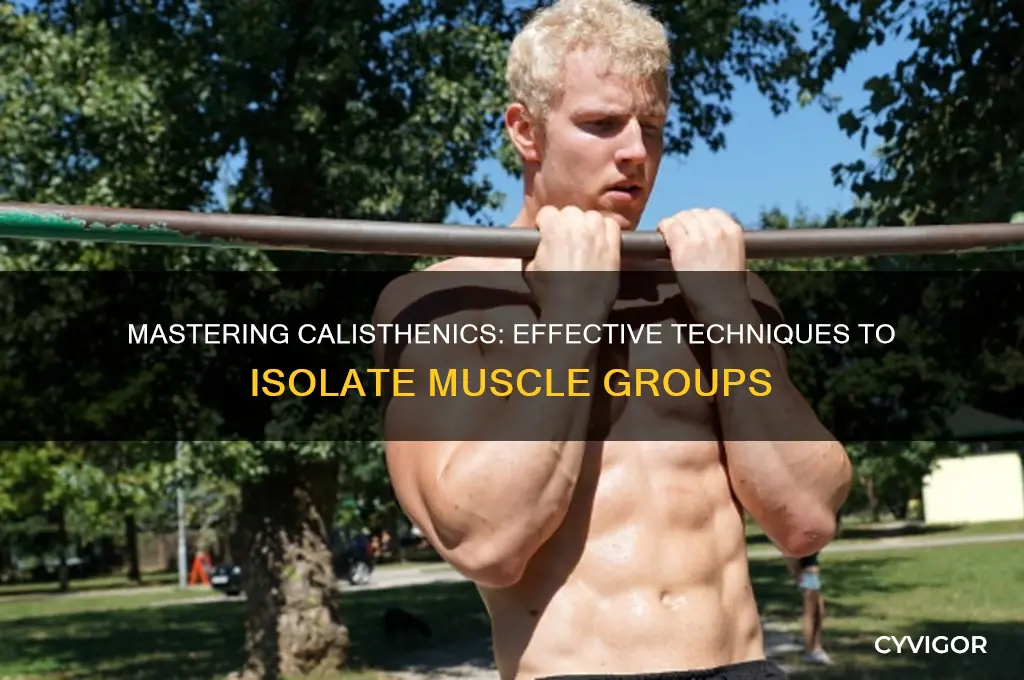 how to isolate different muscle groups are calisthenics