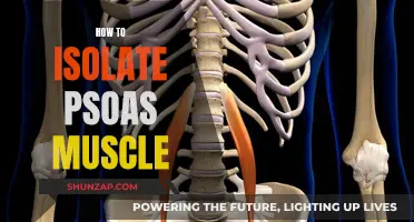 Unlocking the Psoas Muscle: Techniques for Targeted Isolation