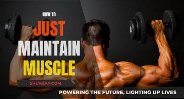 Maintaining Muscle: Simple Strategies for Sustaining Your Physique
