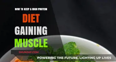 Maximize Muscle Growth: High-Protein Diet Strategies for Strength & Size