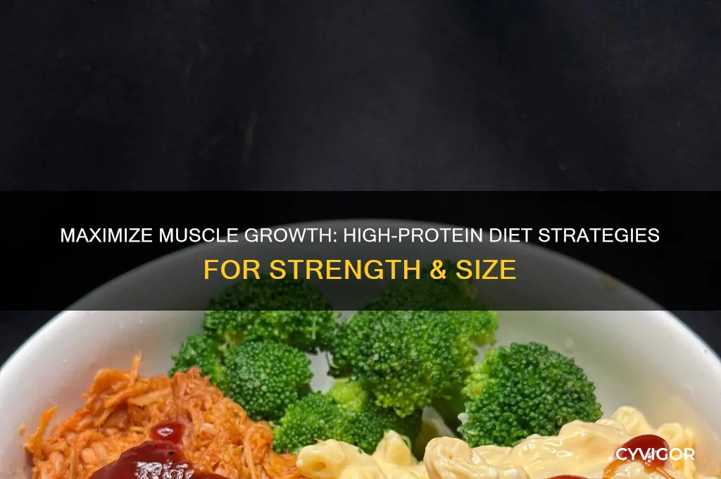 how to keep a high protein diet gaining muscle