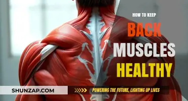 Strengthen Your Back: A Guide to Healthy Muscles