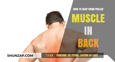 Prevent Back Muscle Strains: Essential Tips for a Healthy Back