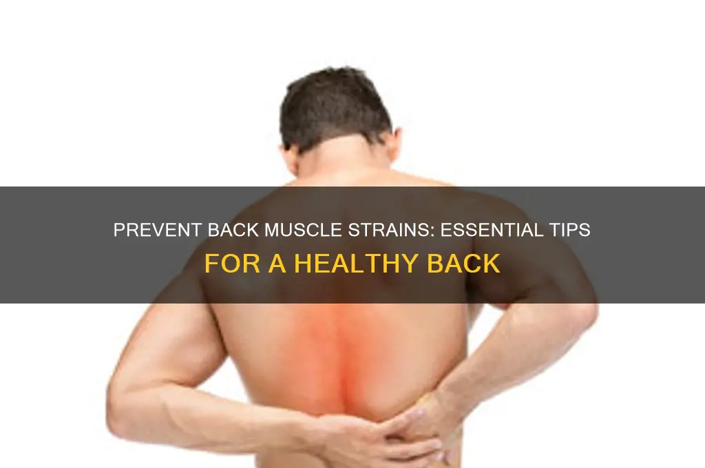 how to keep from pulled muscle in back