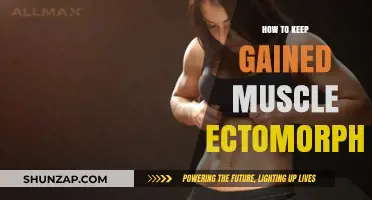 Ectomorph Muscle Retention: Strategies to Sustain Your Hard-Earned Gains